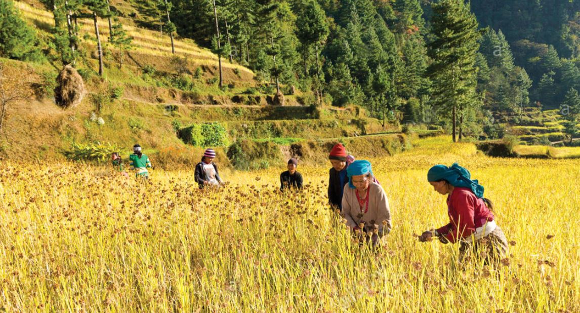 मेघ गर्जन चट्याङसहित वर्षाको सम्भावना
